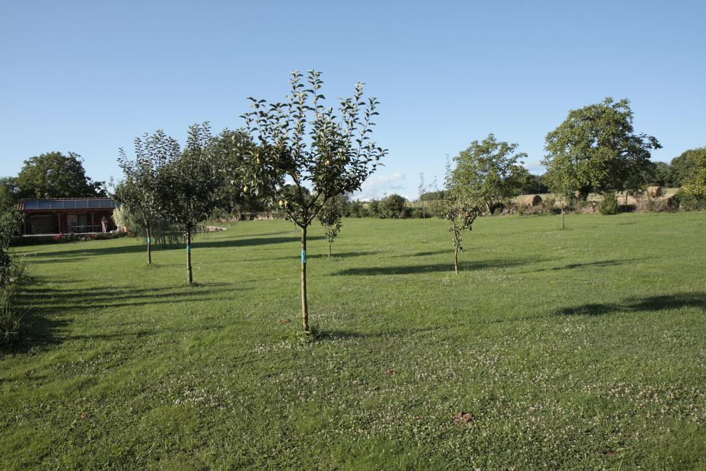 Gites De Lez Laguépie Exteriör bild